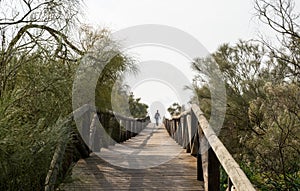 Woman walking along a long wooden boardwalk photo