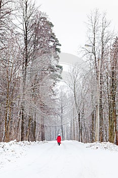 Woman walking along snow road under snowfall