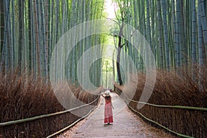 Woman walking in Bamboo forest, Arashiyama, Japan