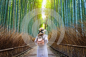 Woman walking at Bamboo Forest in Kyoto, Japan