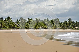Woman walking on the beach (Taipu de Fora, Brazil) photo