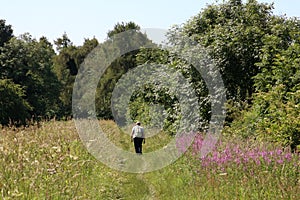 Woman walking on canal towpath Cumbria countryside