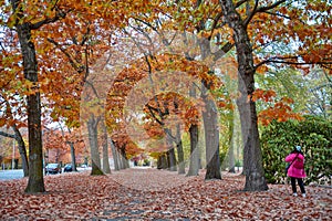 Woman walking among colorful red and yellow foliage trees in garden during autumn at Wilhelm Kulz Park in Leipzig, Germany