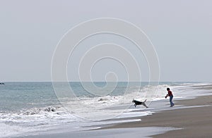 Woman walking dog on beach with rough seas