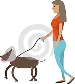 Woman walking with dog in collar after veterinarian appointment vector icon isolated on white