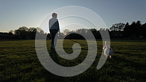 Woman walking the dog in the park. travel concept.