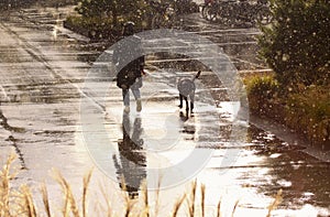 Woman walking the dog in rainy weather