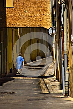 Woman walking dog in street