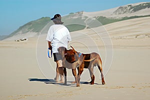 Woman walking dogs