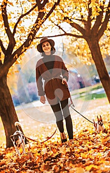 Woman walking with dogs outdoors in autumn