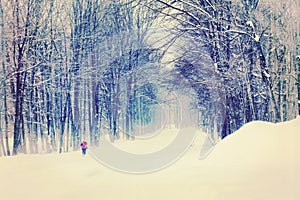 Woman Walking Down Snow Covered Road in Winter. Photo Art.