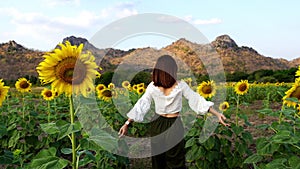 Woman walking and enjoying with sunflower at Kao Jeen Lae in Lopburi, Thailand