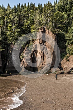 Woman walking at famous Hopewell Rocks geologigal formations low tide biggest tidal wave Fundy Bay New Brunswick Canada