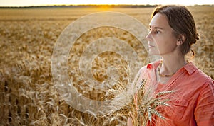 Woman walking in field with wheat in the hand. sunset. summer