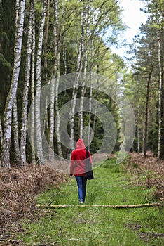 A woman walking in the forest in a red hood