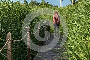 Woman walking in a garden photo