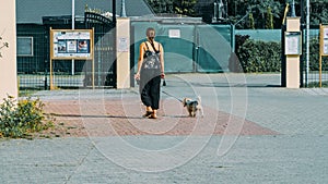 woman walking her dog on a leash in the park on a sunny autumn day