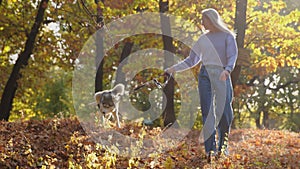 Woman walking with husky dog in beautiful autumn park forest.