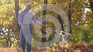 Woman walking with husky dog in beautiful autumn park forest.