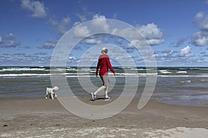 Woman Walking on a Lake Huron Beach with a Small White Dog