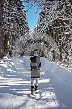 Woman walking in the mountains in a forest.