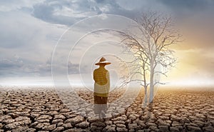 Woman walking in an open expansive field at the tree is dried on cracked soil