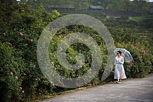 A woman walking rose garden