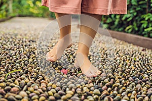 Woman Walking On A Textured Cobble Pavement, Reflexology. Pebble