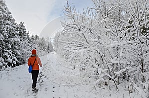 Woman walking in the trail in wintertime