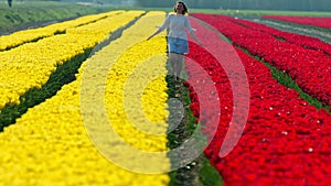 Woman walking on tulips field