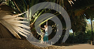 Woman walking under huge palm tree on the tropical island. Girl travels immersively, touches the leaves and trunk