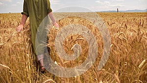 Woman walking through wheat field - fertility and abundance concept