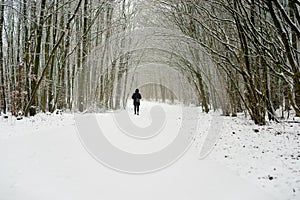 Woman walking in a winter forest