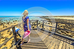 Stromatolites Hamelin Pool Australia