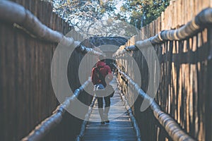 Woman walking in wooden narrow walkway. Protection for tourists in nature and wildlife reserve in South Africa. Concept of