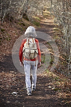 Woman walking in the woods. Healthy lifestyle. Natural environment