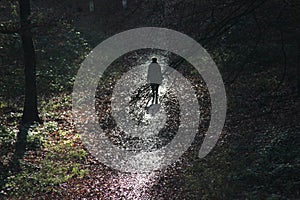 A woman walks alone in a dark forest