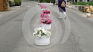 Woman walks along the alley among flowers on the sidewalk.