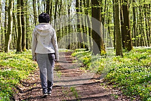 A woman walks along a path in a blooming spring forest