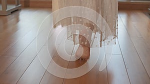 A woman walks barefoot on the parquet in a sunny room. Slow motion.