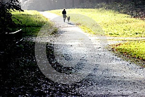 Woman walks with the dog