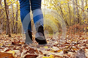 woman walks in the fall on dry fallen leaves in the park. Abstract empty blank of the autumn weathe