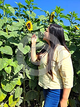 Woman walks through a field of sunflowers full of happiness in fullness, with tranquility, relaxation, calm, peace and splendor