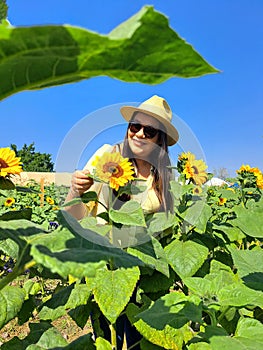 Woman walks through a field of sunflowers full of happiness in fullness, with tranquility, relaxation, calm, peace and splendor