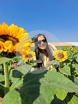 Woman walks through a field of sunflowers full of happiness in fullness, with tranquility, relaxation, calm, peace and splendor