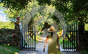 Woman walks into the forest