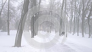 A woman walks in the park during a snowstorm.