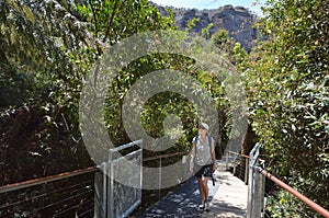 Woman walks on a path in the rainforest of Jamison Valley Blue M