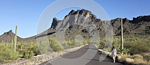 A Woman Walks a Road in Picacho Peak State Park, Arizona