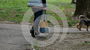 Woman walks with a small dog  on a leash Yorkshire Terrier breed